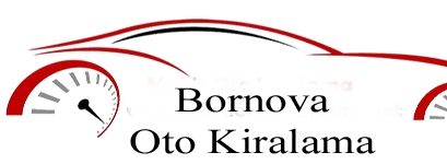 Rent A Car Web Paketi Star v4.5